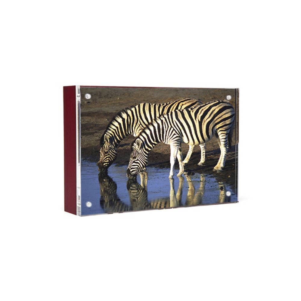 Wood Back Magnet Frame - Natural, Black, Mahogany, White