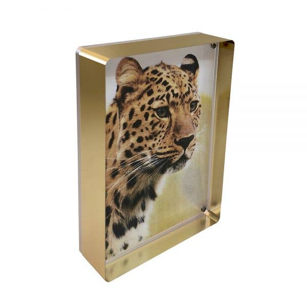 Prestige Magnet Frame 5"x7"
