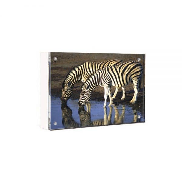 Wood Back Magnet Frame - Natural, Black, Mahogany, White