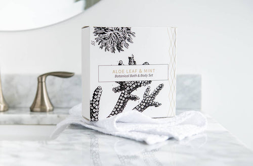 Aloe Leaf & Mint Botanical Gift Set