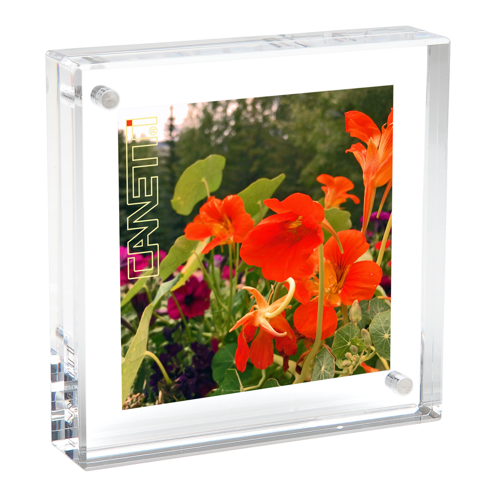 The Original Magnet Frame - Clear, Acrylic Frames - 13 Sizes