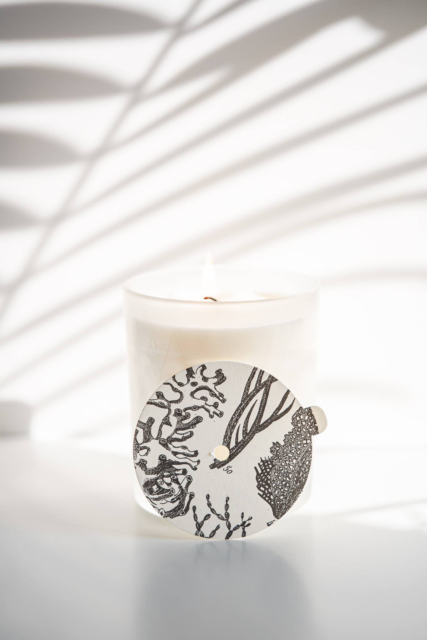 Ocean & Oakmoss Frosted Glass Candle