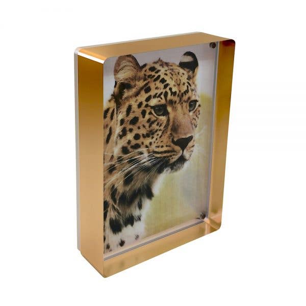 Prestige Magnet Frame 5"x7"