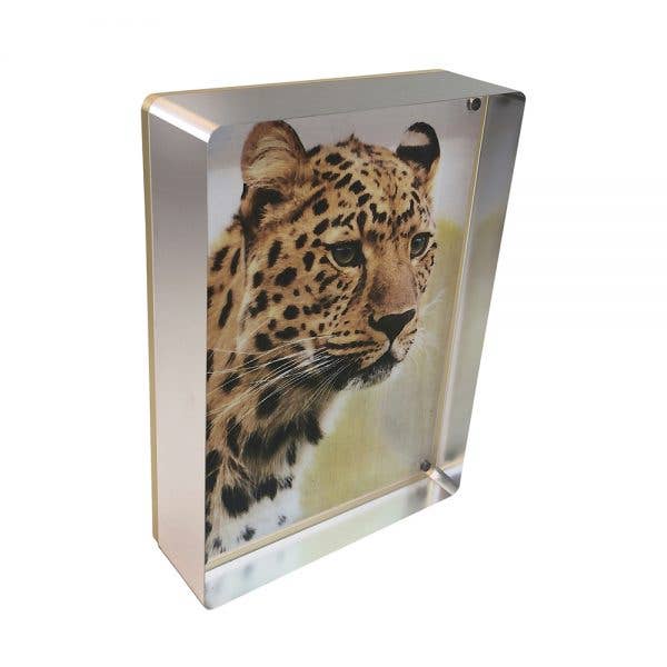 Prestige Magnet Frame 5"x7"